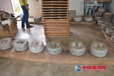 ��Ҷ����ʱ�����