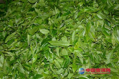 �²���������