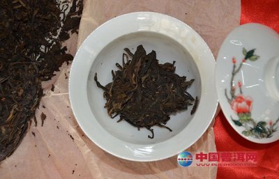 ����ò�Ҷ��5��С����