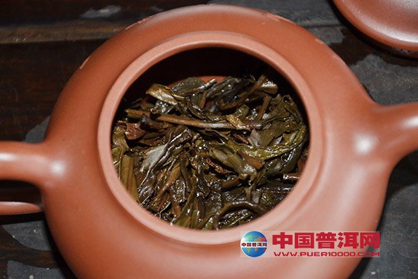 普洱茶