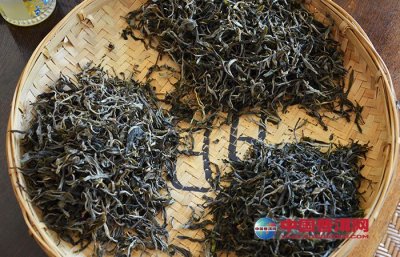 ��Ҷ��β��ܱ�����ζ��ζ��