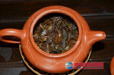 ��ҶΪʲô�����