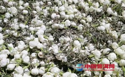 ��α��滨�ݲ�