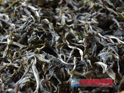 ��Ҷ�������뱣��