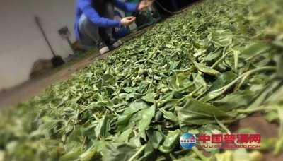 �����̲賣�ñ��ʷ���