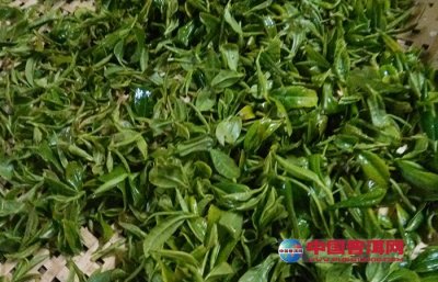 ��Ҷ�ı��ʼ����淽��