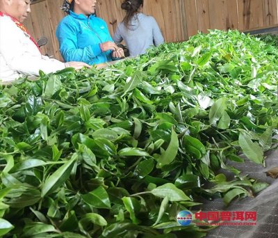 �̲���������ɻ�