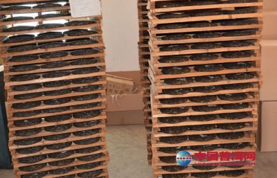 ʪ���ն���Ĳִ���������������