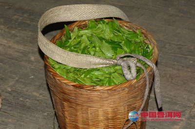 ��Ҷ�������뱣�ʼ���