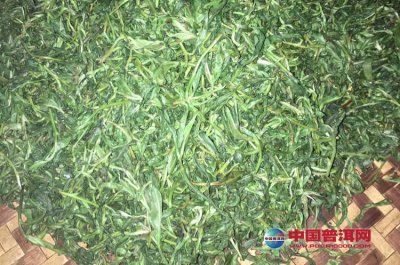 ����Ҷ�����ܵ���������