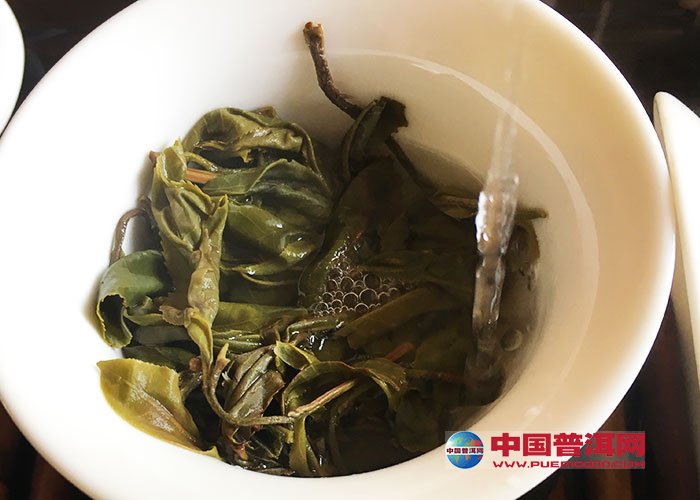 普洱茶