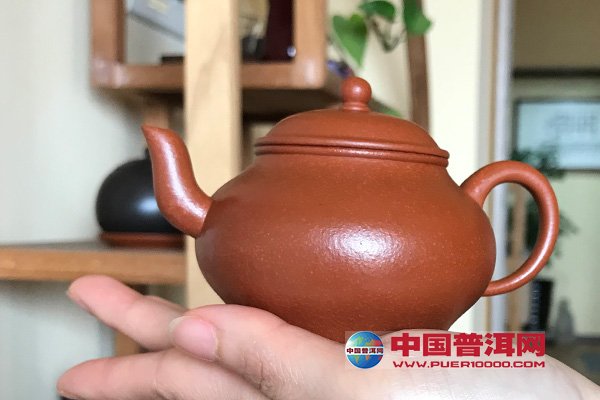 普洱茶