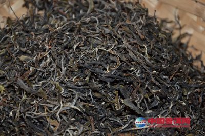 �������������ı�����