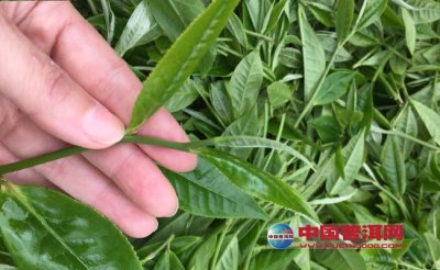 ����ë��ı��淽��