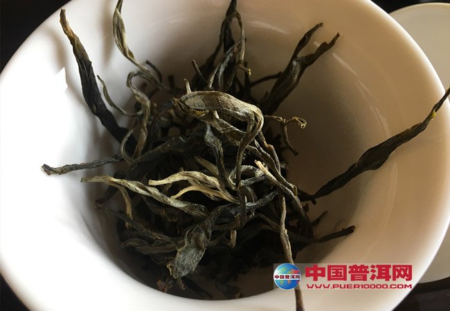 普洱茶