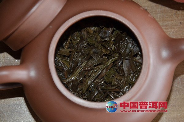 普洱茶