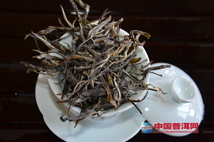 普洱茶