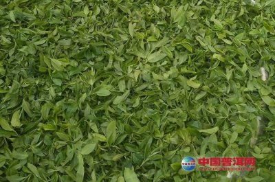 ϸ���̲豣��ļ���ע������