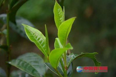 ����ë��ı��漼��