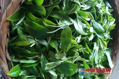 ӿϪ�����ı��淽��