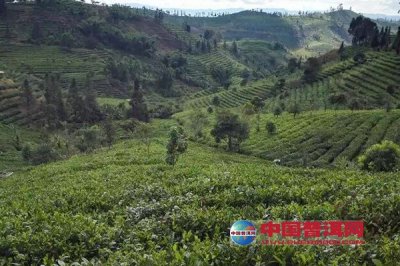 ��԰���Ӧ���յļ���