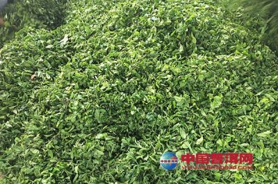 ���������̲�Ĵ��ؼ���