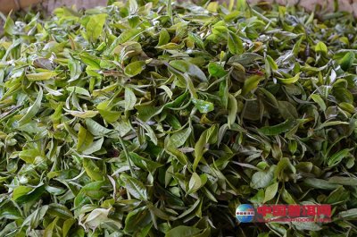 �����̲�Ĵ��ؼ���