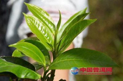 �̲�۵ı��淽��