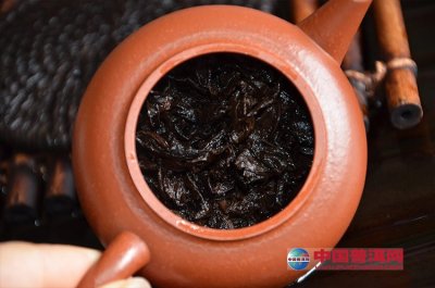 һֱ�����󵼡����ն��衰�Ѳء�����