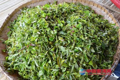 �̲�����ر��ʼ�������