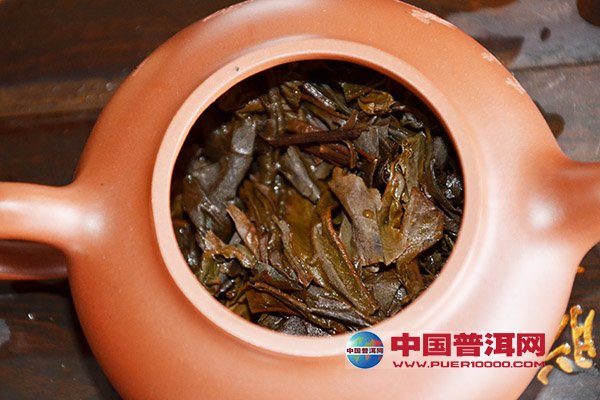 普洱茶