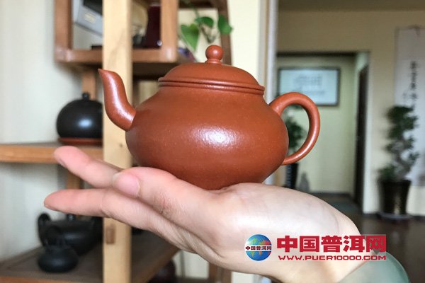 普洱茶