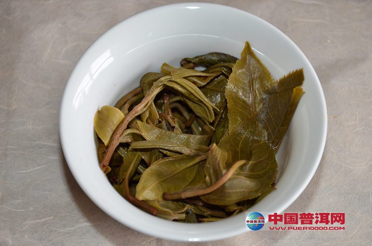 普洱茶