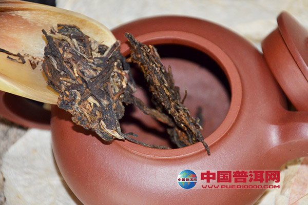 普洱茶