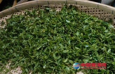 ����������̲�����Ҫ��