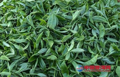 ���������̲����������