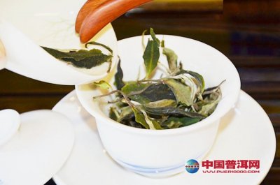 Ҳ˵�ն���Ĵ���