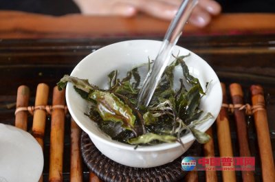 �ײ豣�棺�ϱ����в���