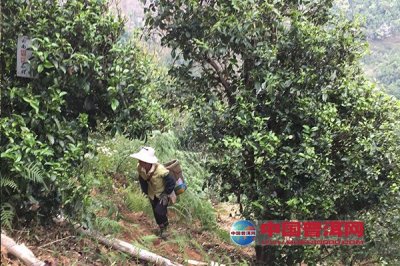 ����е��Ĺ����ն������޼۵�����ѫ��