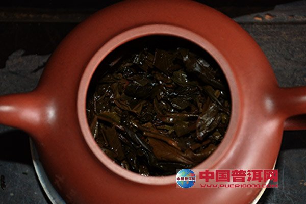 普洱茶