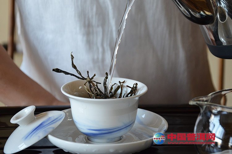 普洱茶