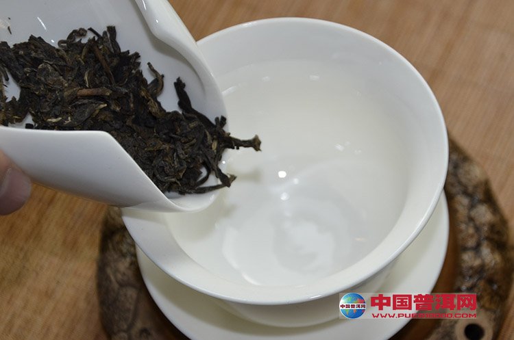 普洱茶