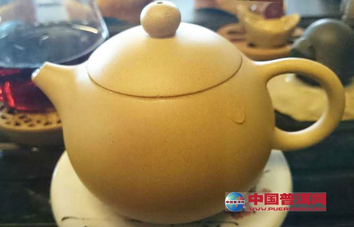 普洱茶