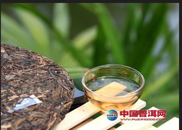 普洱茶